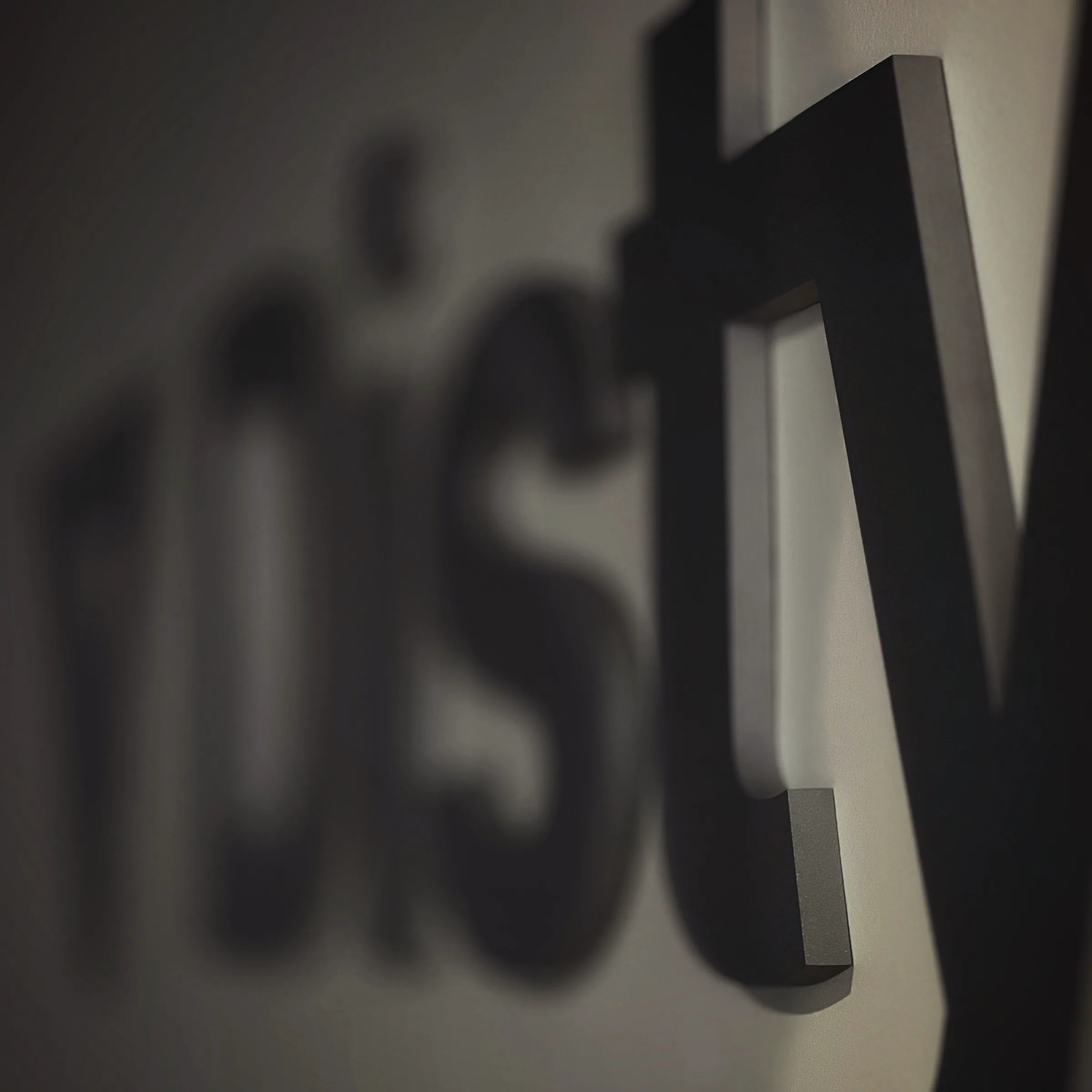 Close-up of dimensional Distyl wall letters, the y sharp and the rest falling out of focus
